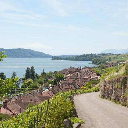 Alpes Et Lac La Neuveville Buitenkant foto