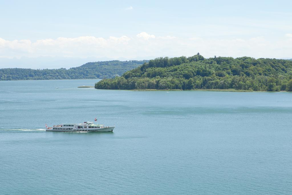 Alpes Et Lac La Neuveville Buitenkant foto