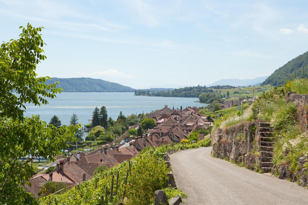 Alpes Et Lac La Neuveville Buitenkant foto