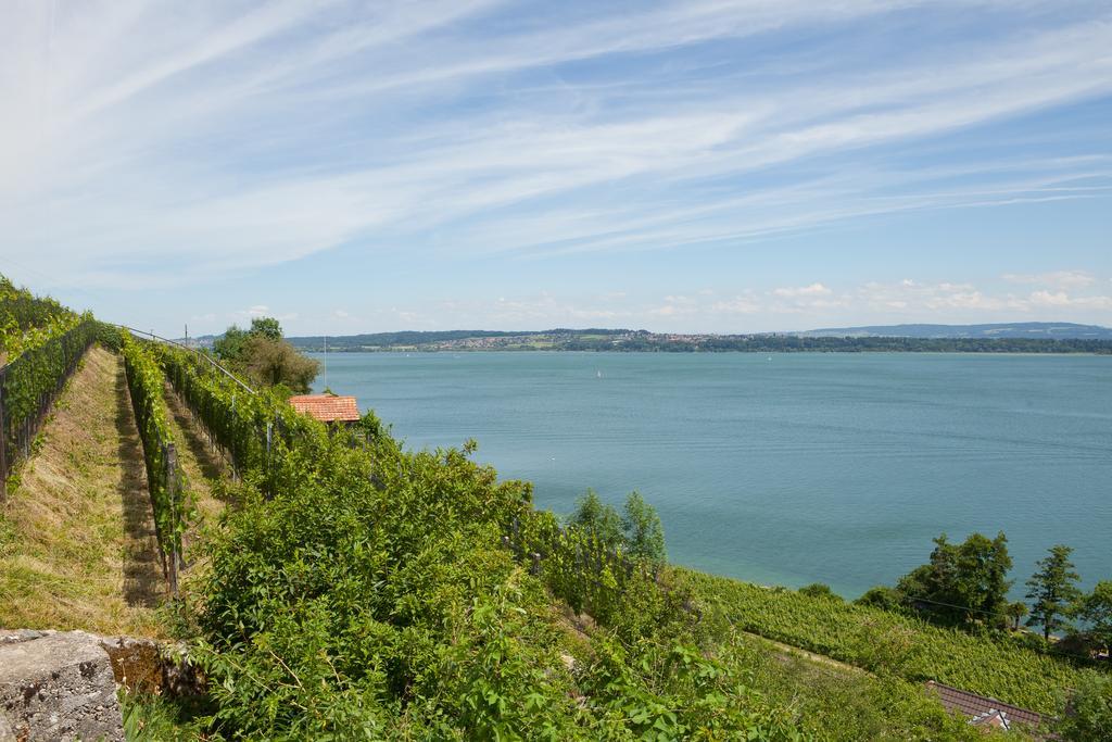 Alpes Et Lac La Neuveville Buitenkant foto