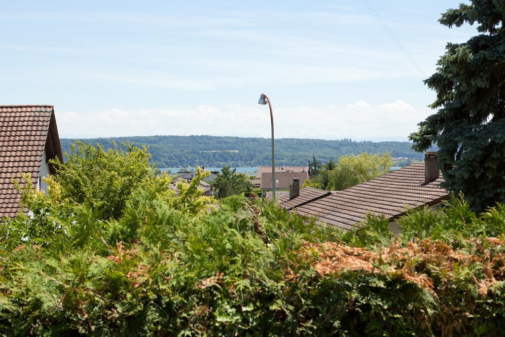 Alpes Et Lac La Neuveville Buitenkant foto